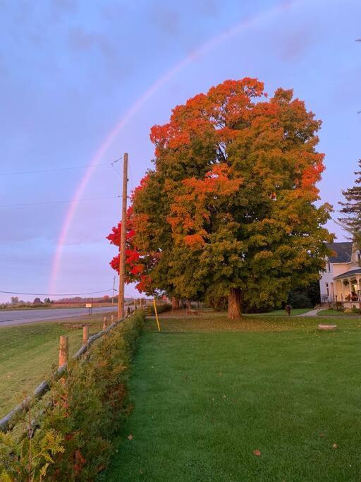 The Barns Of Brighton Near Prince Edward County Buitenkant foto